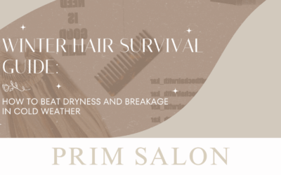 Winter Hair Survival Guide: How to Beat Dryness and Breakage in Cold Weather